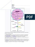 Expresión Génica