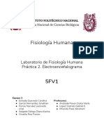 P2 FisHum Electroencefalograma