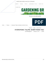 Hydroponic Tulips - Everything You Need To Know - Gardening Brain PDF