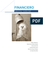 Plan Financiero Peluqueria de Mascotas