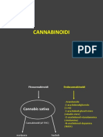 Cannabinoidi e Allucinogeni AA 2018 2019