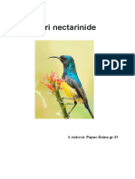 Păsări Nectarinide - Papuc Doina Gr.31