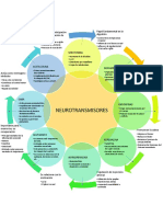 Los Neurotransmisores.