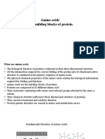 Amino Acids The Building Blocks of Protein