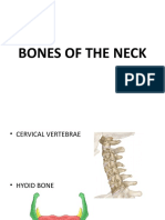 Bones of The Neck