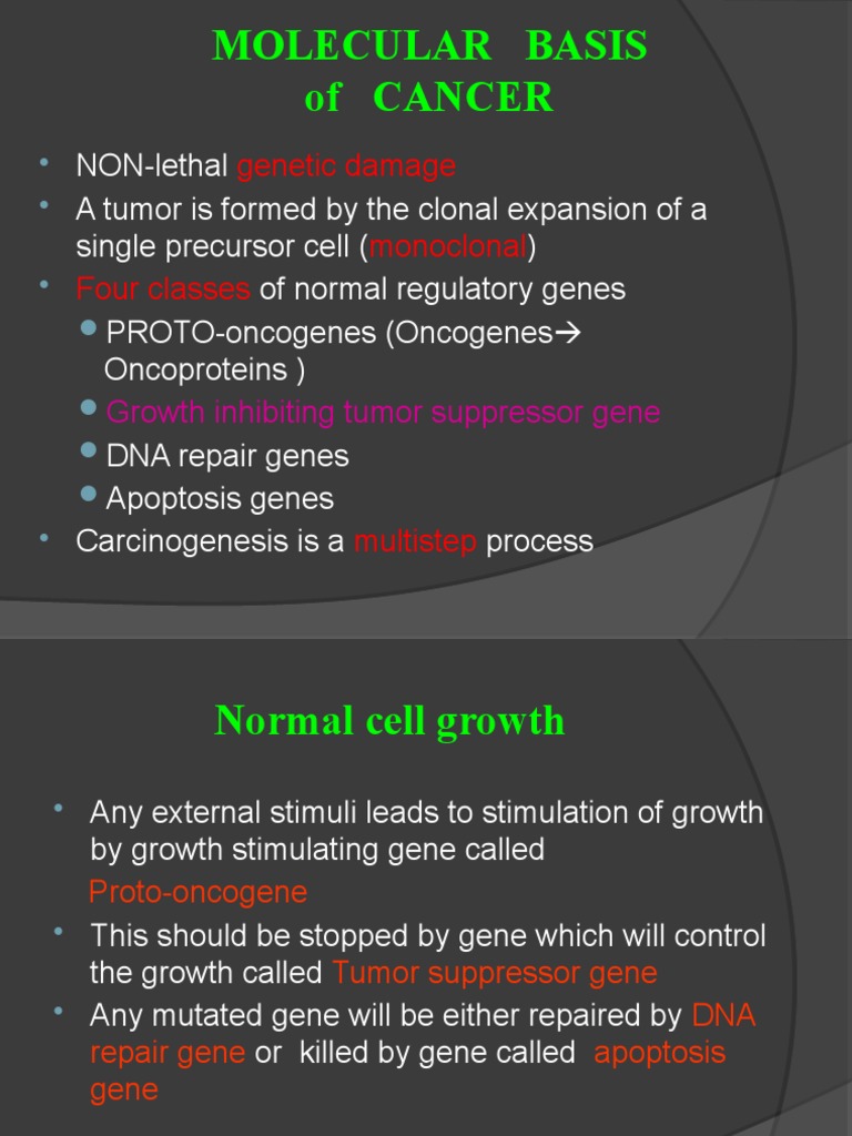 Molecular Mechanisms of Cancer | PDF | Oncogene | Neoplasms