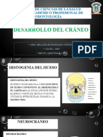 Desarrollo Del Craneo