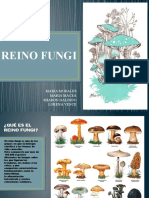 Presentación Reino Fungi