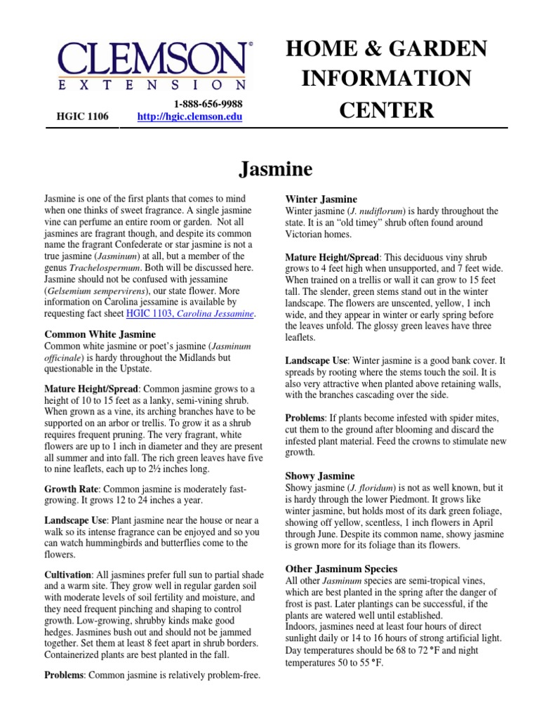 Home & Garden Information Center Jasmine PDF Landscape Plants