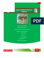 Organizaciones Sociales Realidad PDF