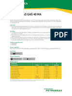 Petrobras GAS 40 MA