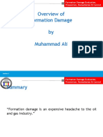 Overview-Formation Damage