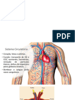 Aula 8 - Sistema Circulatório