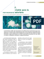 La Coliflor PDF