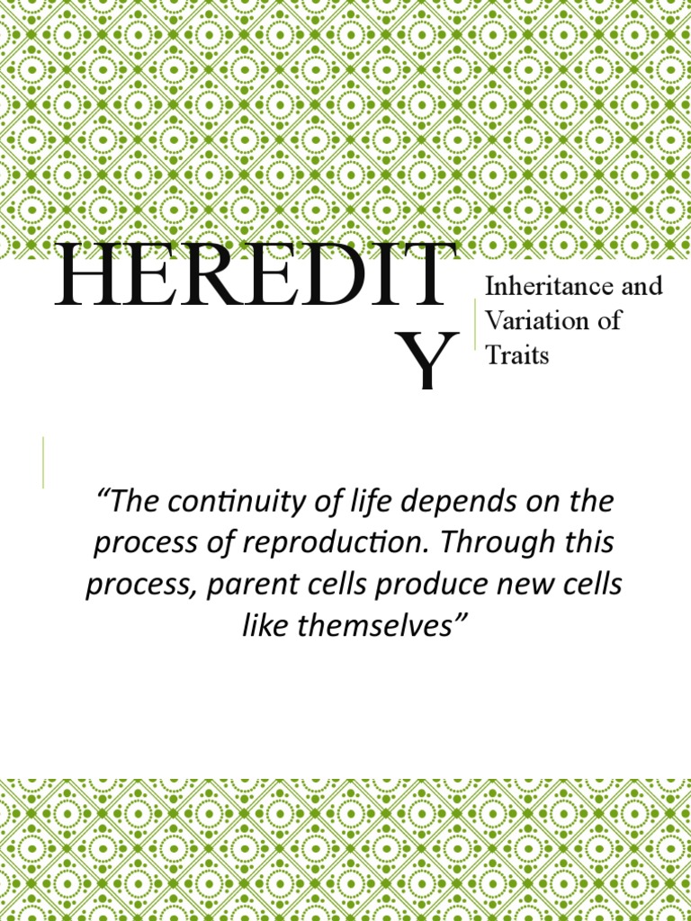 Heredit Y: Inheritance and Variation of Traits | PDF | Meiosis | Mitosis