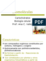 Biomoleculas Carbohidratos
