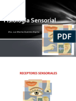 FISIOLOGIA SENSORIAL.pptx