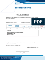 REPORTE DE NOTAS - MANUEL CASTILLO