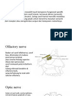 Cranial Nerve