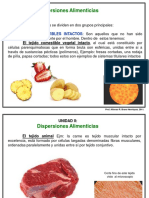 Dispersiones Alimenticias PDF