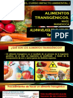 ALIMENTOS TRANSGENICOS,MAIZ.MANDICA.pdf