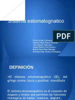 342877123-Sistema-Estomatognatico.pptx