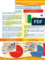 Boletin Nmam Set 2013 PDF