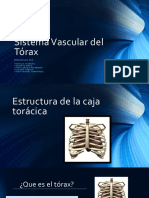Exposicion laboratorio Sistema Vascular del Tórax.pptx