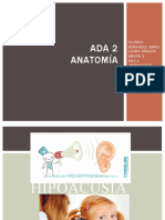 ) Hernandezabrislaura Anatomia Blog