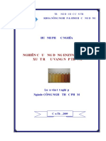 Nghiên Cứu Ứng Dụng Enzyme Vào Sản Xuất Rượu Vang Nếp Trắng: Huỳnh Phước Nghĩa