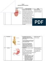 Tugas Sistem Pencernaan