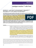 Artículo 7 PDF