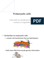 Prokaryotic Cells Power Point