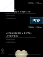 Anatomia Dentaria PDF