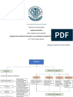 Esquema Estructura operon y sistemas de regulacion_Osuna Morales