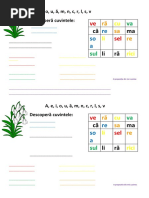 fisa_careu_aeiouamncrsv.docx