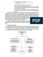 T 16 PDF