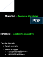 1. Curs Anatomia renala corelativa Glomerul martie 2020 (2).pdf