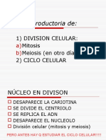 Material de Apoyo - Division-Celular-y-Ciclo-Celular