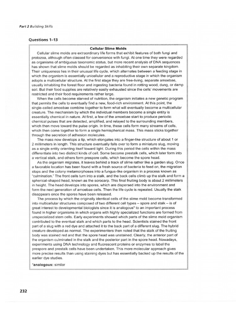 23.1 Reading Practice Test PDF | PDF