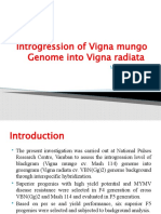 Introgression of Vigna Mungo Genome Into Vigna Radiata: M.Narayanan 2019508202 GPB - 512