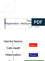 Tissue Repair: Regeneration, Healing and Fibrosis: Li Qun 2016.9