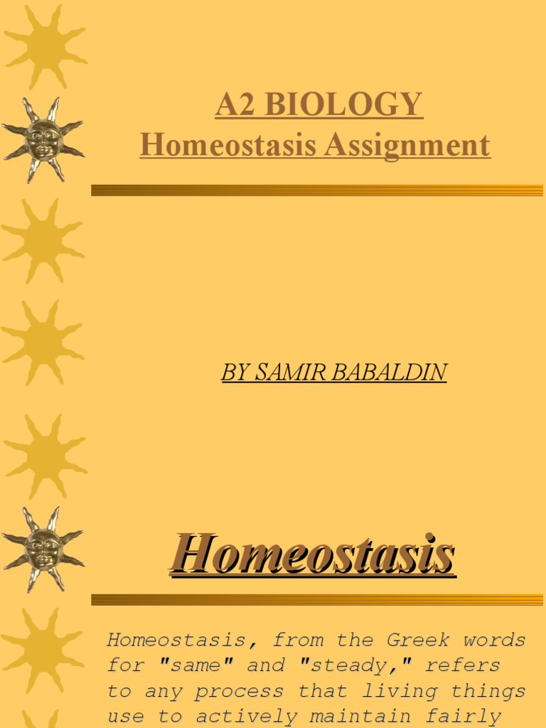 Homeostasis Assignment Overview | PDF