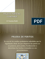 Pericial Contable PDF