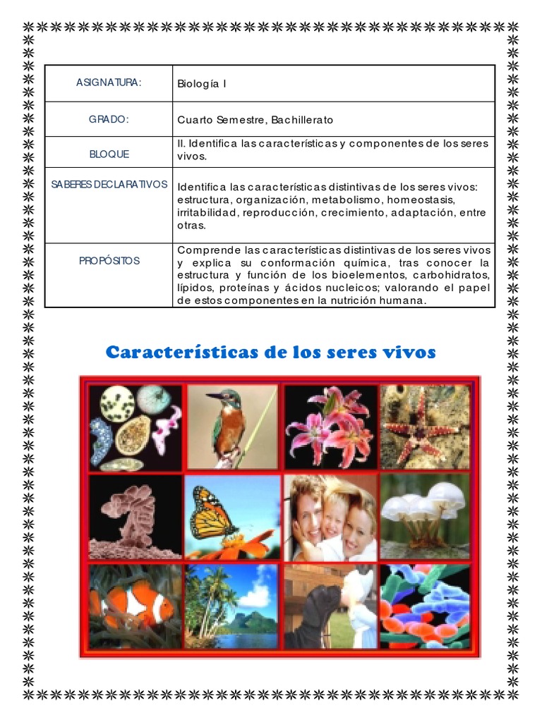 Características de los Seres Vivos | PDF | Organismos | Respiración
