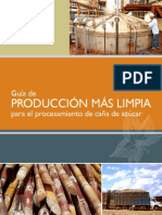 Guia_de_PRODUCCION_MAS_LIMPIA.pdf
