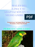 Adaptacion de Los Animales Del Tolima A Su Medio Ambiente