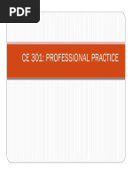 Ce 301: Professional Practice