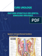 Curs-Urologie-1-Semiologie.ppt
