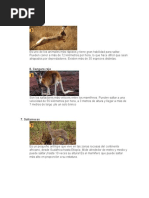 Animales que vuelan, nadan y caminan | PDF